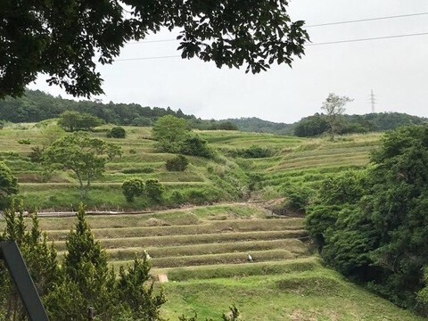 棚田の風景