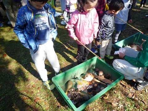 葉っぱの釣り