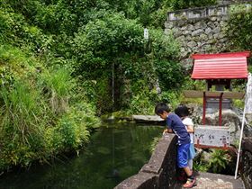清瀧寺入口池と滝