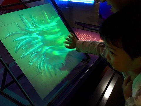 展示4
