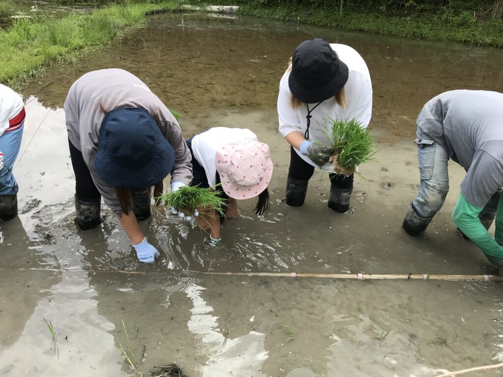 【画像】【5/31（日）開催】 どろんこ遊び大歓迎！天竜の里山で田植え体験