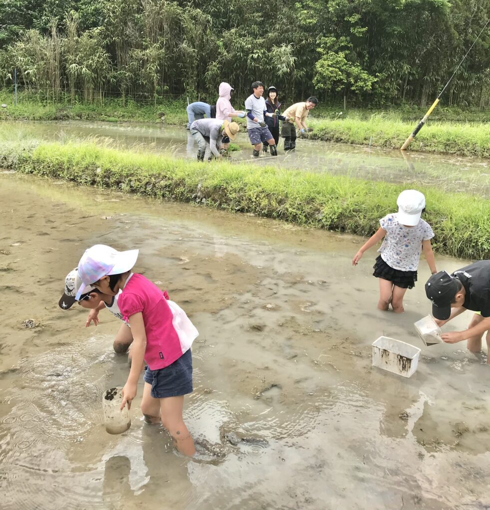 【画像】【5/31（日）開催】 どろんこ遊び大歓迎！天竜の里山で田植え体験