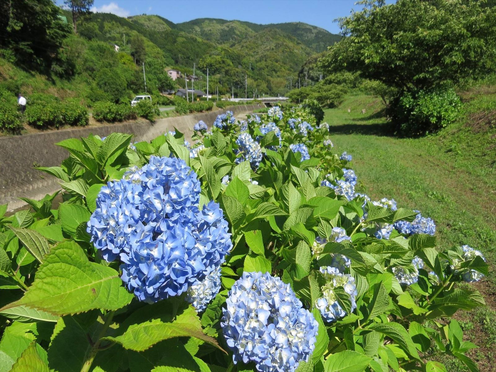 伊平川堤