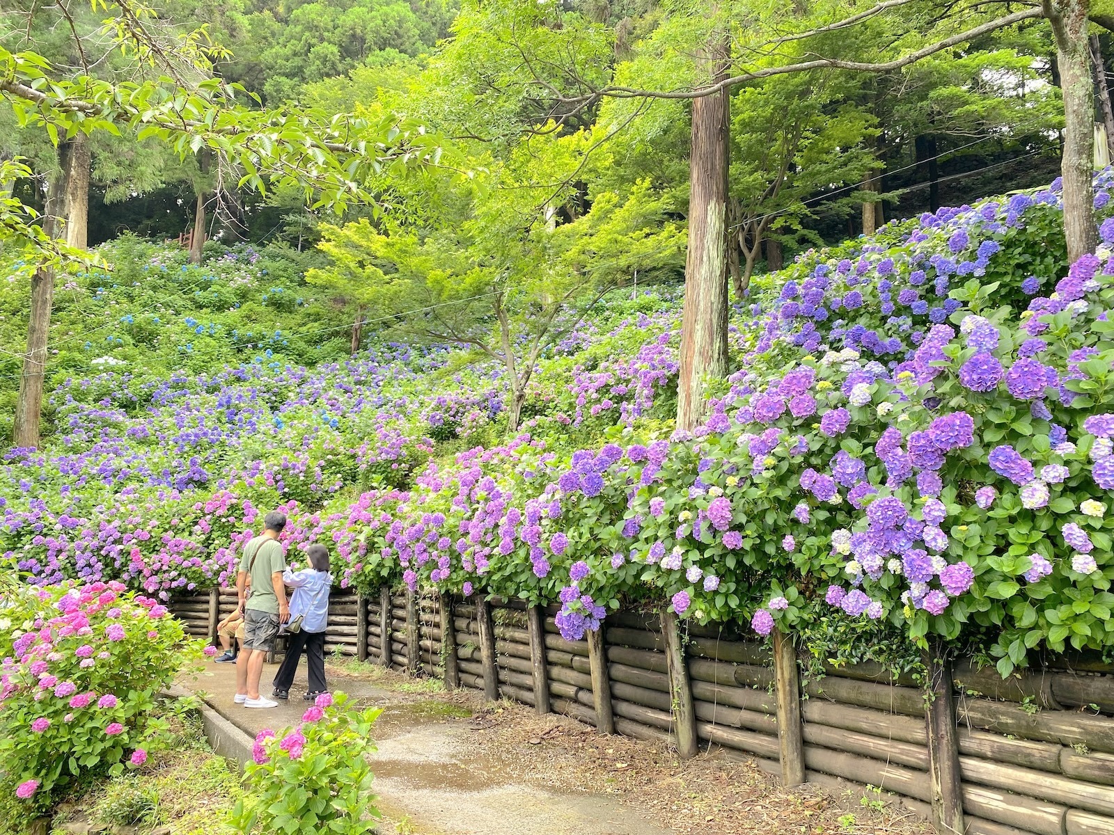 秋葉神社