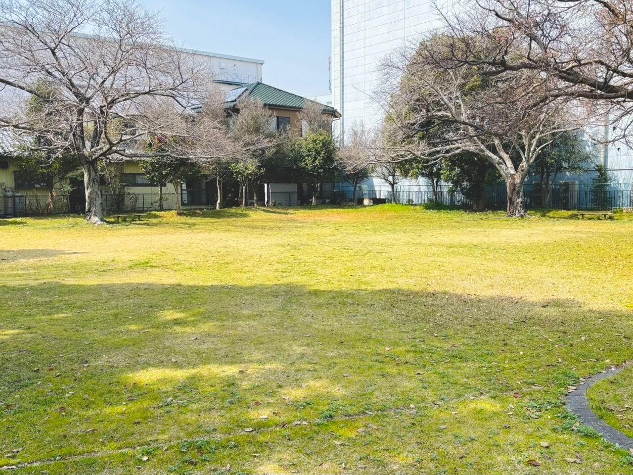 芝生広場