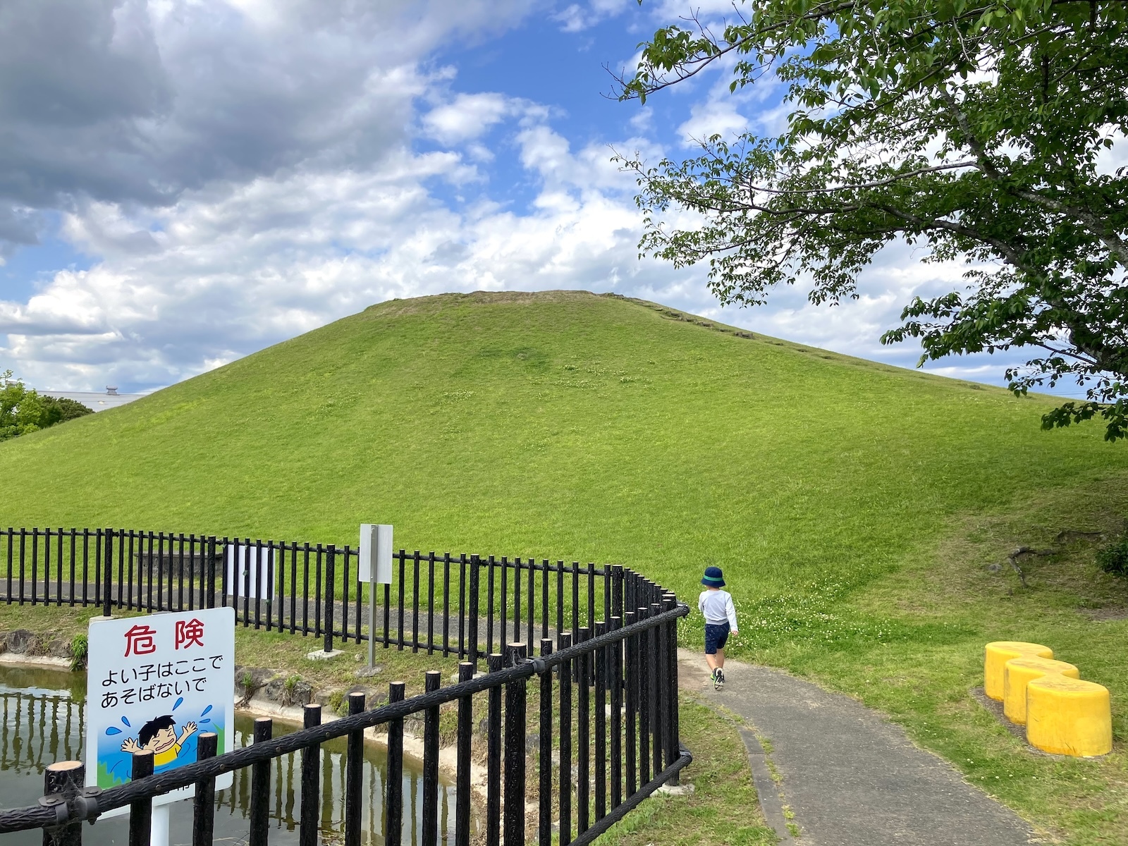 山