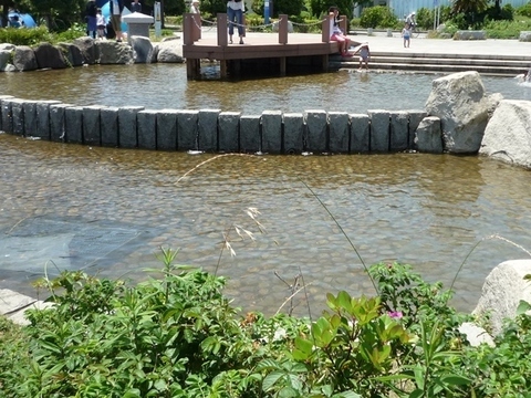 修景池
