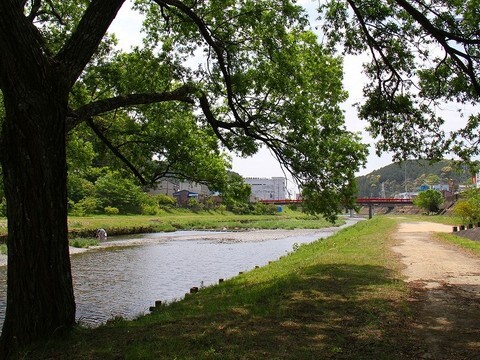 河川敷