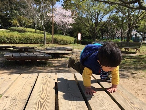 お散歩