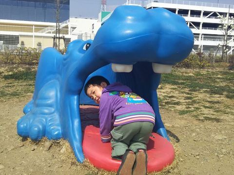 園内4