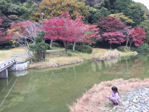 ひょうたん池