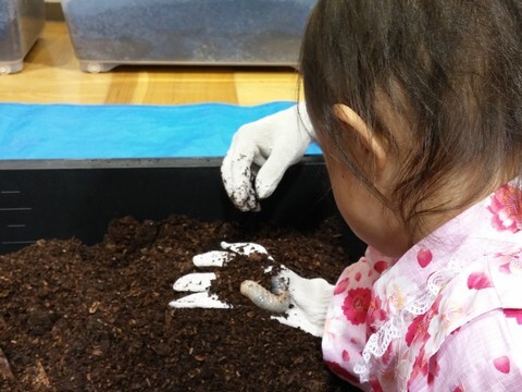 幼虫