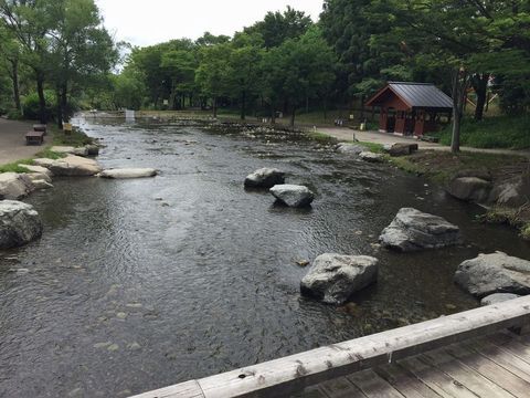 じゃぶじゃぶの河原