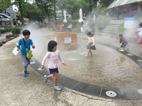 霧の遊び場