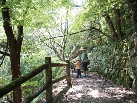 整備された遊歩道