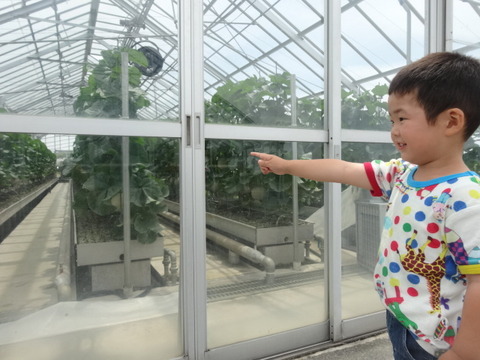 温室