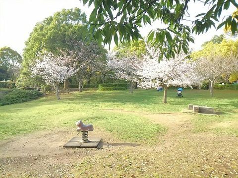 木々に囲まれ木陰多い