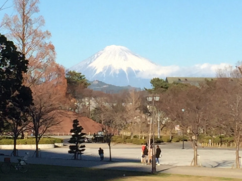 富士山