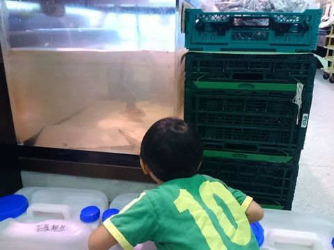 ビアンカン2水槽