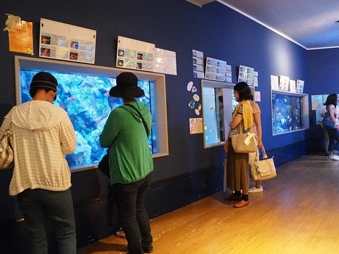 竹島水族館1