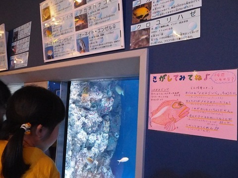 竹島水族館2