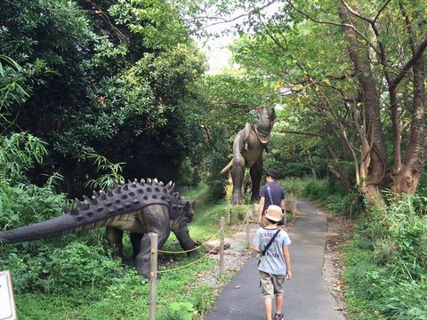 恐竜が棲む森