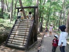 森林公園2
