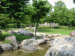 美薗中央公園