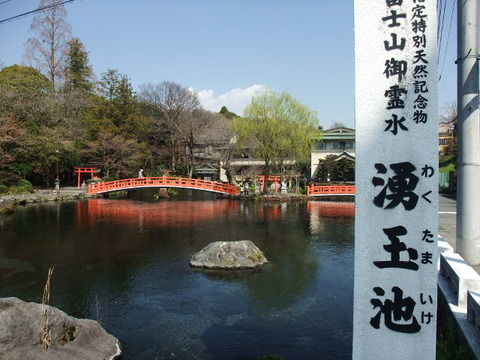 湧玉池