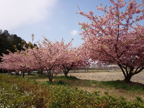 うさぎ山公園５