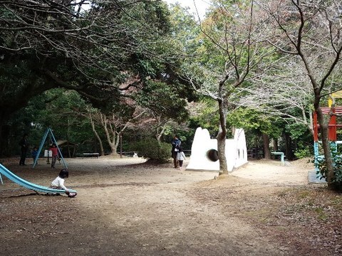 うさぎやま3