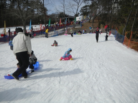 雪そり