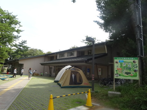 森の木陰で１