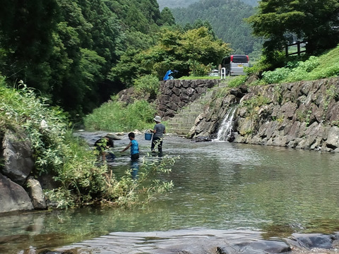 渋川親水4