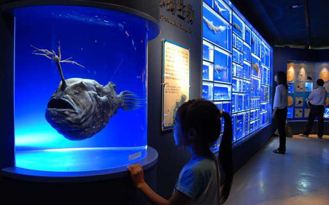 海のはくぶつかん　東海大学海洋科学博物館