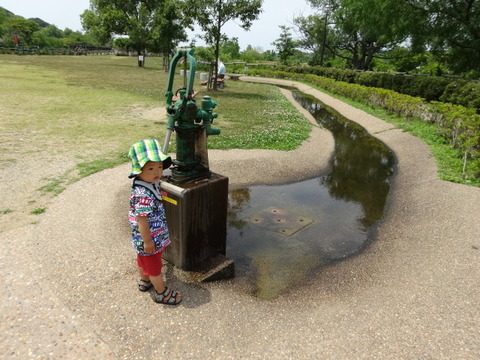 佐鳴湖公園１