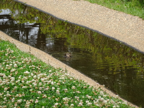 佐鳴湖公園４