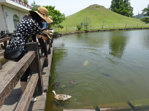 豊岡児童遊園３