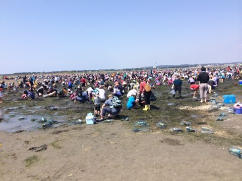 潮干狩り