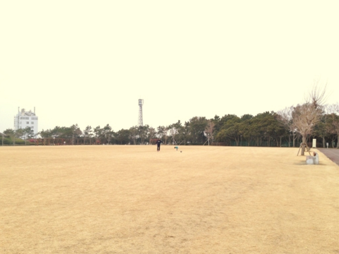 遠州灘海浜公園１