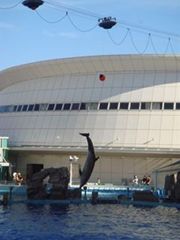 名古屋港水族館