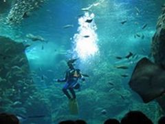 新江ノ島水族館