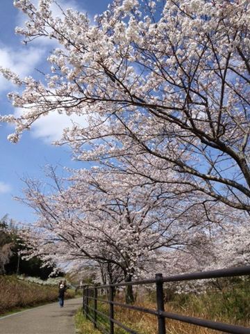 花川運動公園