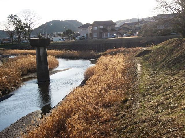 八幡ケヤキ公園