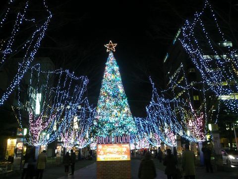 イルミ全景.JPG