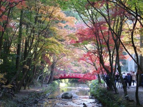 小國神社で紅葉狩り