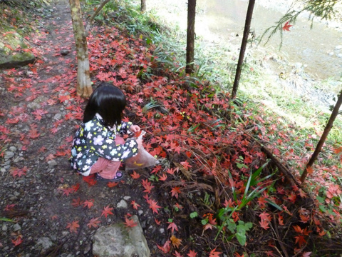 小國神社で紅葉狩り