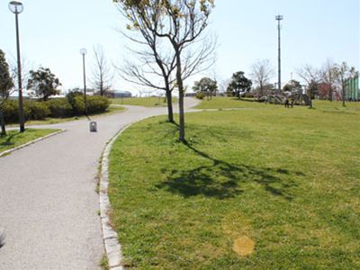 2014030303015_kami_03.jpg