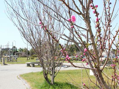 2014030303015_kami_04.jpg