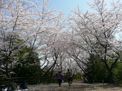 愛・地球博記念公園